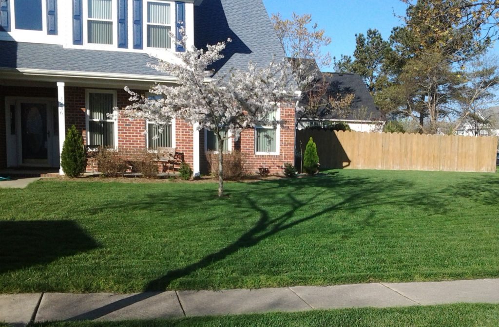 fresh lawn in front of house