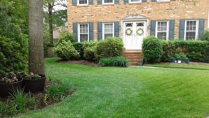 After picture of lawn seeding in Virginia Beach