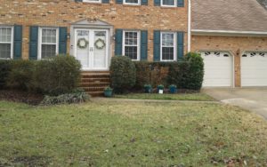 Before picture of lawn seeding in Virginia Beach