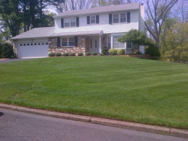 A recent seeding lawn services in Bucks County job