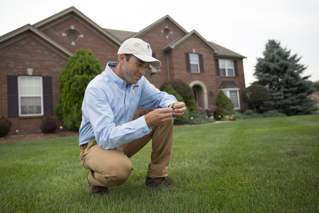 Weed Control Service in Eastern Montgomery County