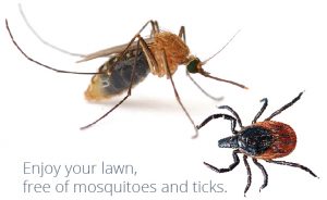 Mosquito Control & Tick Control in Hackettstown
