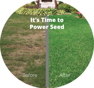 Power and lawn Seeding in Hackettstown 