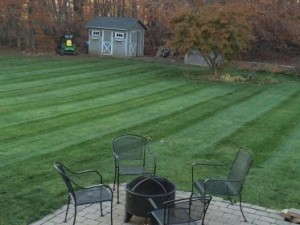 Well manicured green lawn maintained our lawn care services