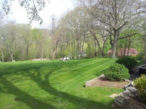 beautiful lawn after fertilization work showing lawn aeration in Orange County NY