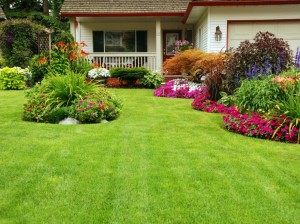 beautiful green lawn cared for by turf care services 