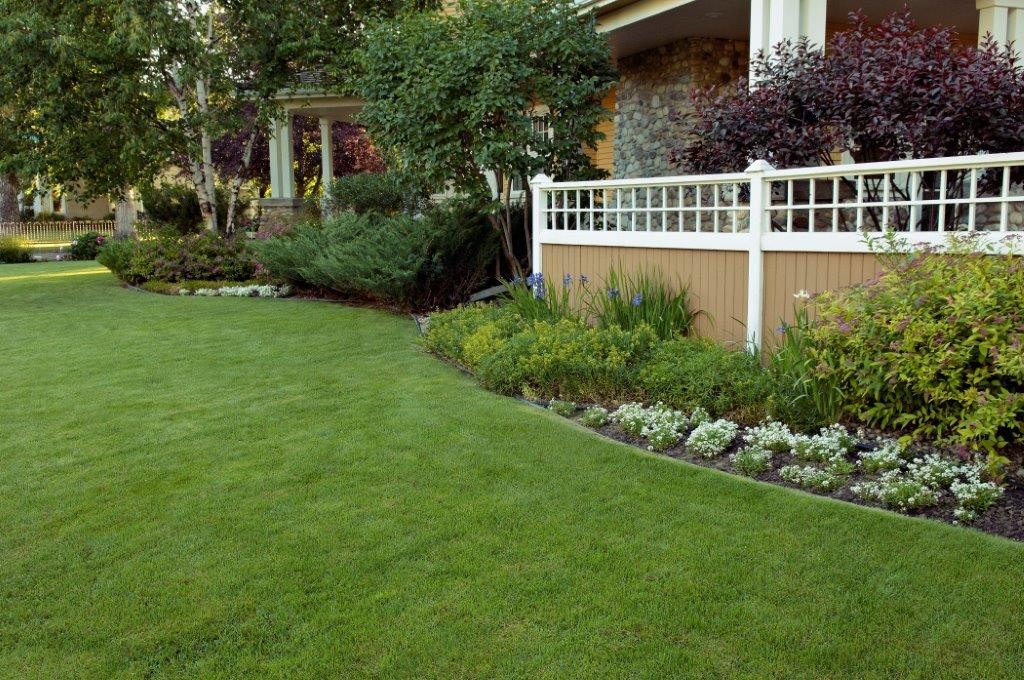 green grass treated with quality lawn care service