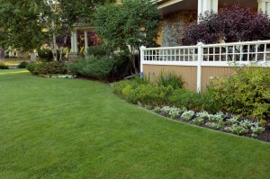 green front lawn treated by lawn care services in Havertown