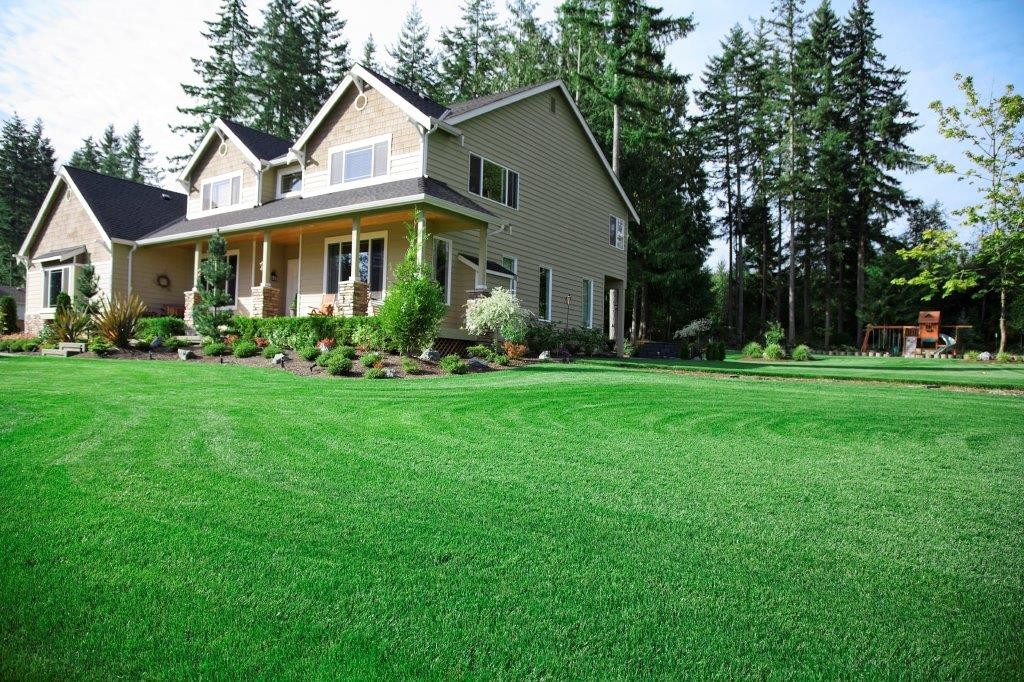 green front lawn maintained with our lawn treatment services