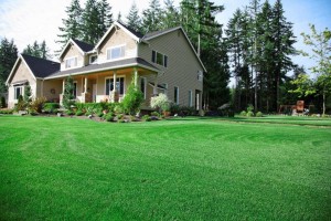 green front lawn treated by lawn fertilization in Lansdale 