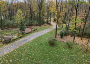 Lawn Maintenance in Havertown