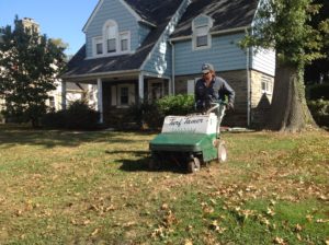 Local Lawn Care Service in Wayne