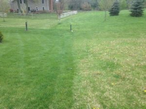 Lawn Doctor of Columbus Lawn Treatment