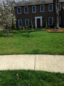 lawn care services in Gahanna OH