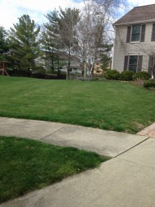 Beautiful front lawn showing lawn care services in Columbus