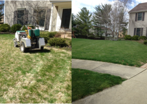 lawn seeding in Westerville OH