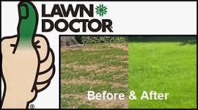before and after of green grass