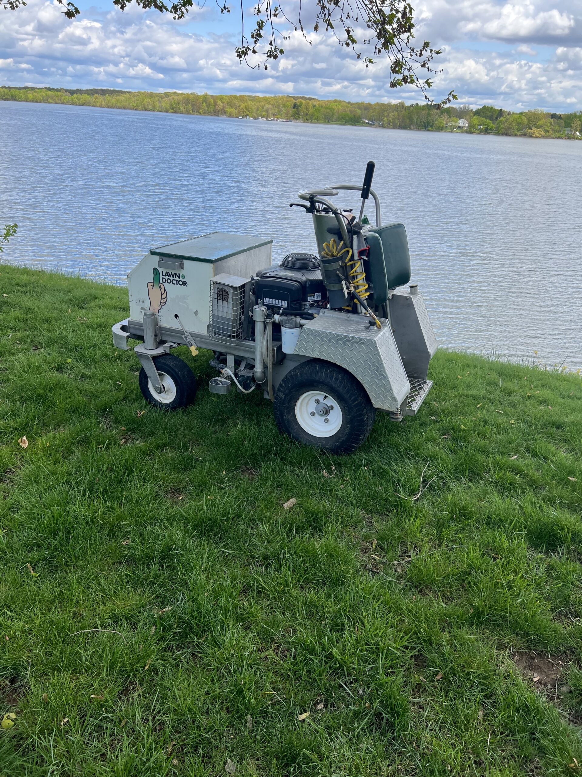 before and after of green grass