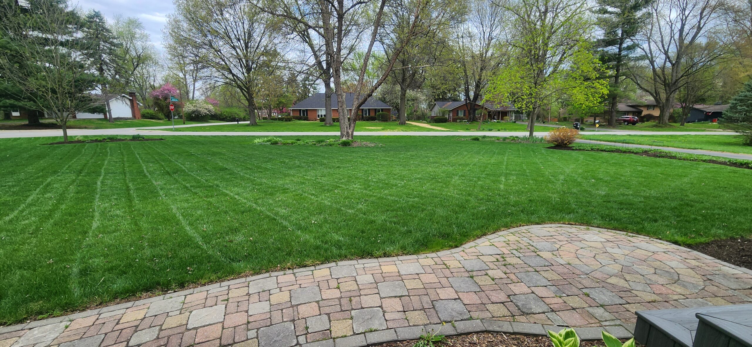 before and after of green grass