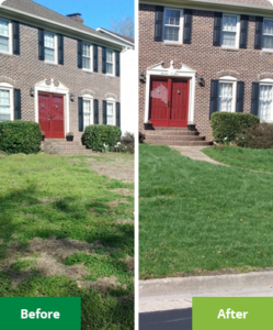 Lawn Weed Control in Westerville