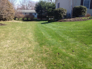 Lawn Fertilizer Service in Sugar Land