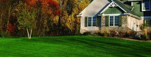 spring lawn care Dumfries