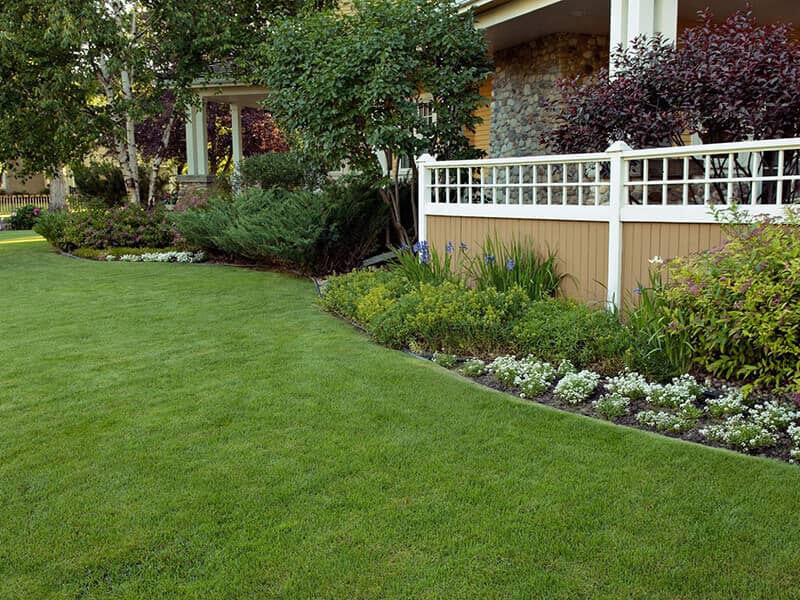 Lawn Care & Maintenance Services Near Me | Lawn Care Basics | Lawn Doctor