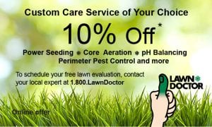 10% off custom care service of your choice