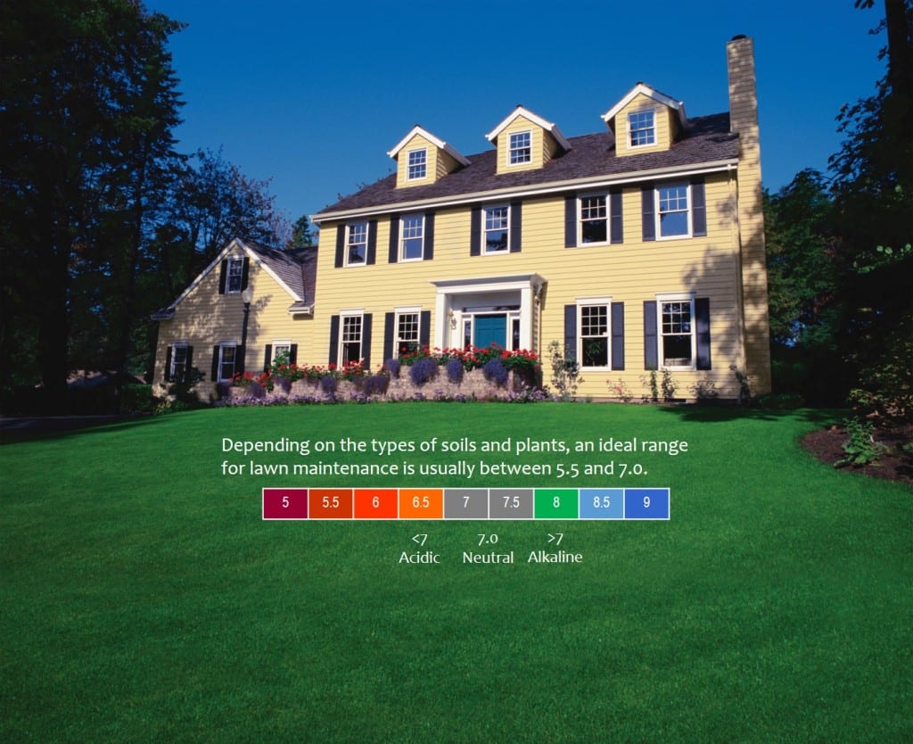 pH scale of front lawn