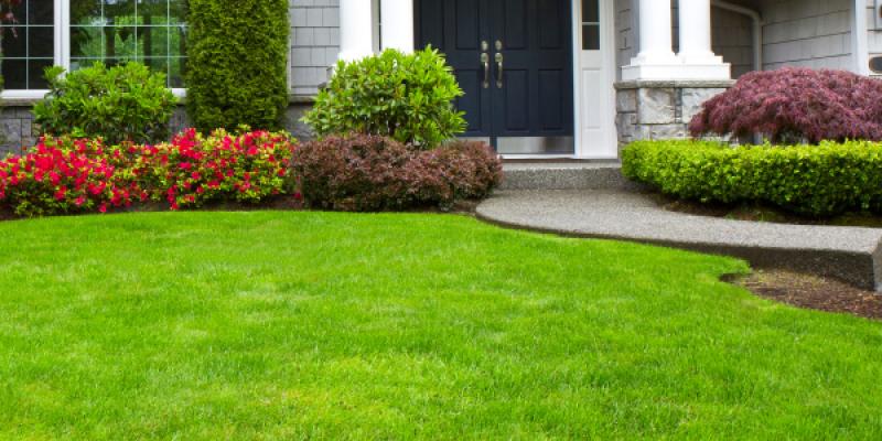 beautiful front lawn from expert lawn care service
