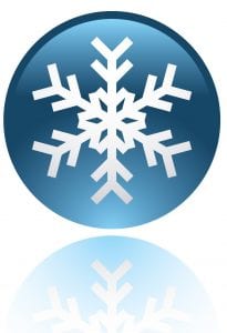 winter lawn care