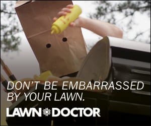 LawnDoc_Embarrassed_Grilling_300x250