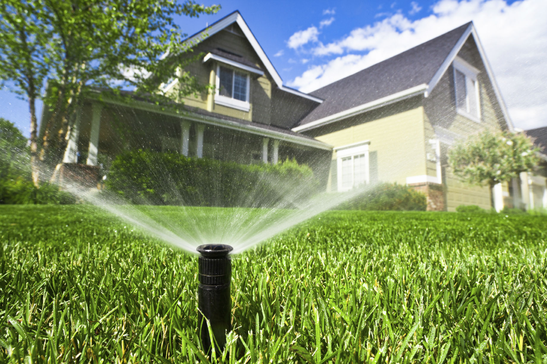 Sprinkler on a healthy lawn