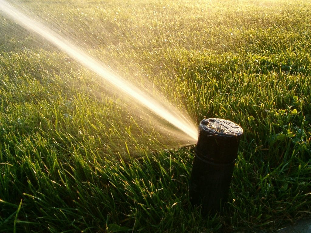 Sprinkler spraying water on lawn in the morning