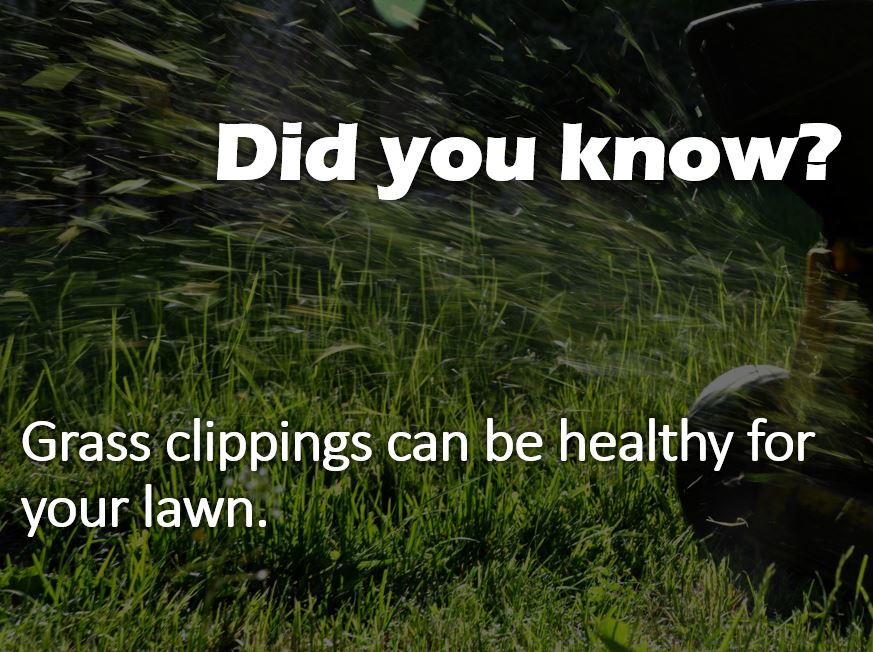 When to mulch or bag lawn clippings