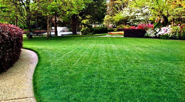 Beautiful grass and landscaping