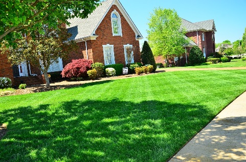 Home with beautiful front lawn