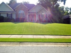 Image of a beautiful Canton GA lawn