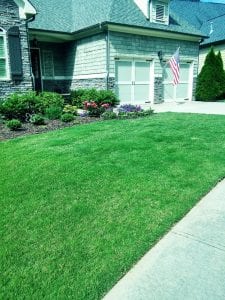 Picture of a lush Woodstock GA lawn