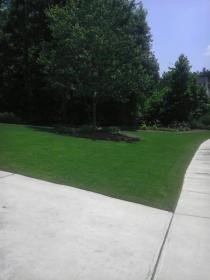 Roswell GA lawn service