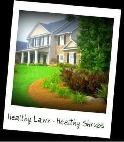 Dallas GA lawn care