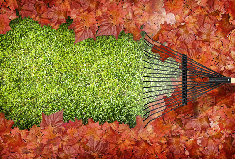 Autumn Lawn Care