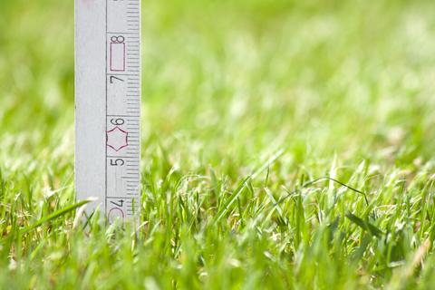 image of a ruler measuring grass height