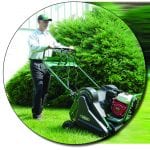 Man performing lawn services