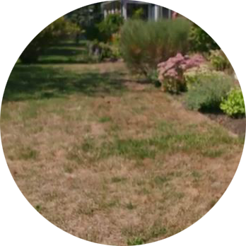 Neighbors Talk. We Can Help.