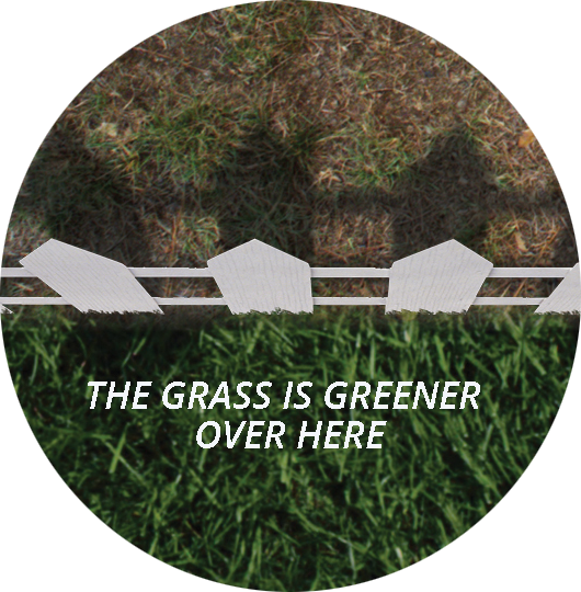 Lawn Doctor makes the difference.