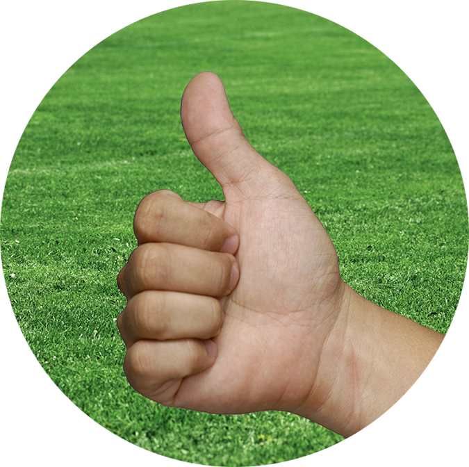 Let us work our magic on your lawn.