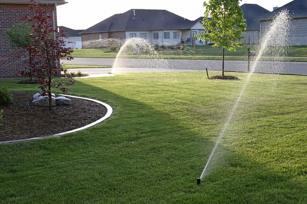sprinkler on lawn to get rid of weeds naturally