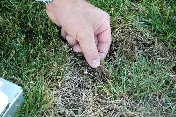 hand hovering over yard irrigation mistake