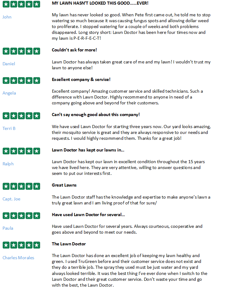 what-is-trustpilot-lawn-doctor